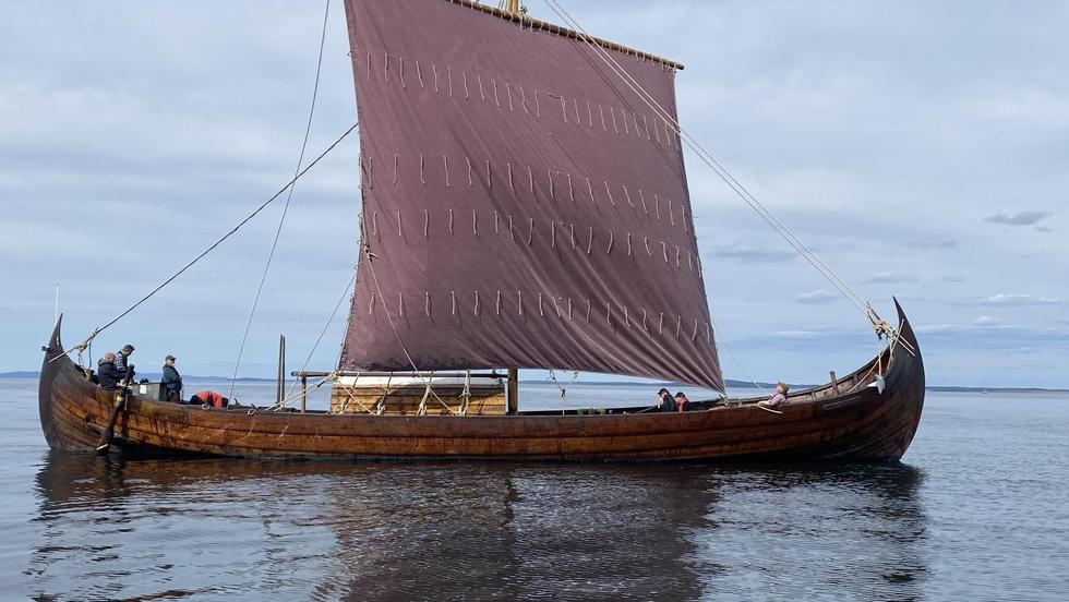 Saga Farman: Electric Viking Ship