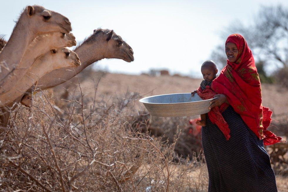 UN sounds hunger alarm in the Horn of Africa